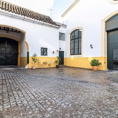 Appartement Loft Bodega San Blas Con Porche Y Parking