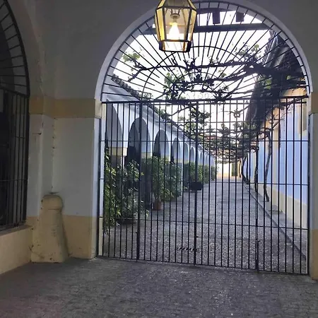 Apartment Loft Bodega San Blas Con Porche Y Parking